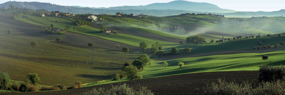 Al servizio dell'agricoltura e del territorio