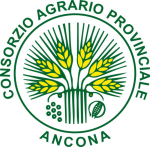 Logo Consorzio di Ancona