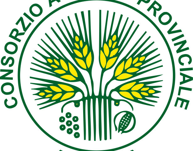 Logo Consorzio di Ancona